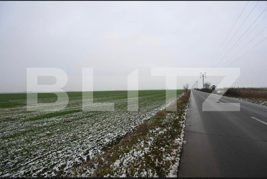 Teren de vânzare Exterior Sud - 165910TV | BLITZ Timișoara | Poza3