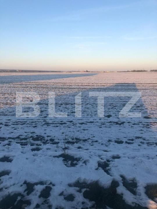 Teren de vânzare Nord - 165913TV | BLITZ Timișoara | Poza2