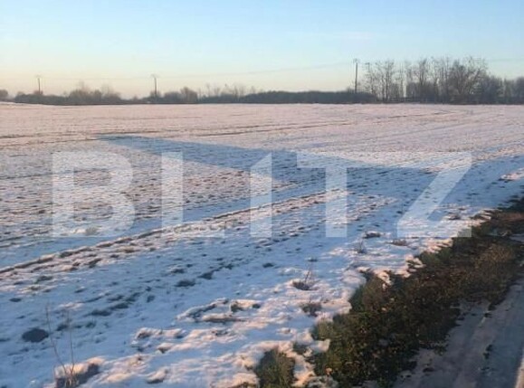 Teren de vânzare Nord - 165914TV | BLITZ Timișoara | Poza2