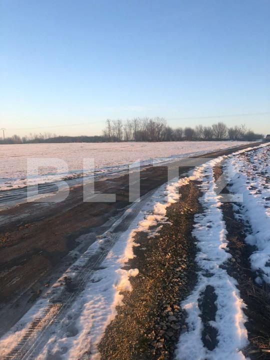 Teren de vânzare Nord - 165914TV | BLITZ Timișoara | Poza1