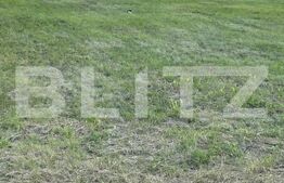 Teren cu suprafaţă de 14 ha la ieşire din Timişoara spre Sânandrei