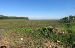 Teren 4,5 hectare, in Giarmata, langa autostrada A1