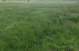 Teren locuinte colective, 4080 mp