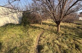 Casa individuala, 7 camere, 217 mp, 624 mp teren, zona Fratelia 