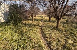 Casa individuala, 7 camere, 217 mp, 624 mp teren, zona Fratelia 