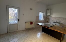 Casa de vânzare 6 camere Crisan - 186963CV | BLITZ Timișoara | Poza4