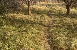 Casa individuala, 7 camere, 217 mp, 624 mp teren, zona Fratelia 