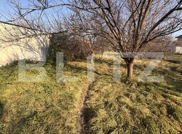 Casa de vânzare 7 camere Fratelia - 166327CV | BLITZ Timișoara | Poza8