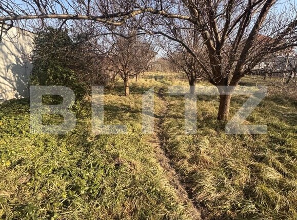 Casa de vânzare 7 camere Fratelia - 166327CV | BLITZ Timișoara | Poza9