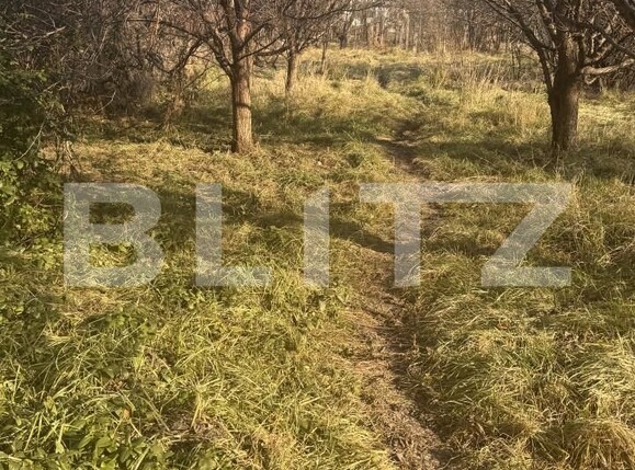 Casa de vânzare 7 camere Fratelia - 166327CV | BLITZ Timișoara | Poza8