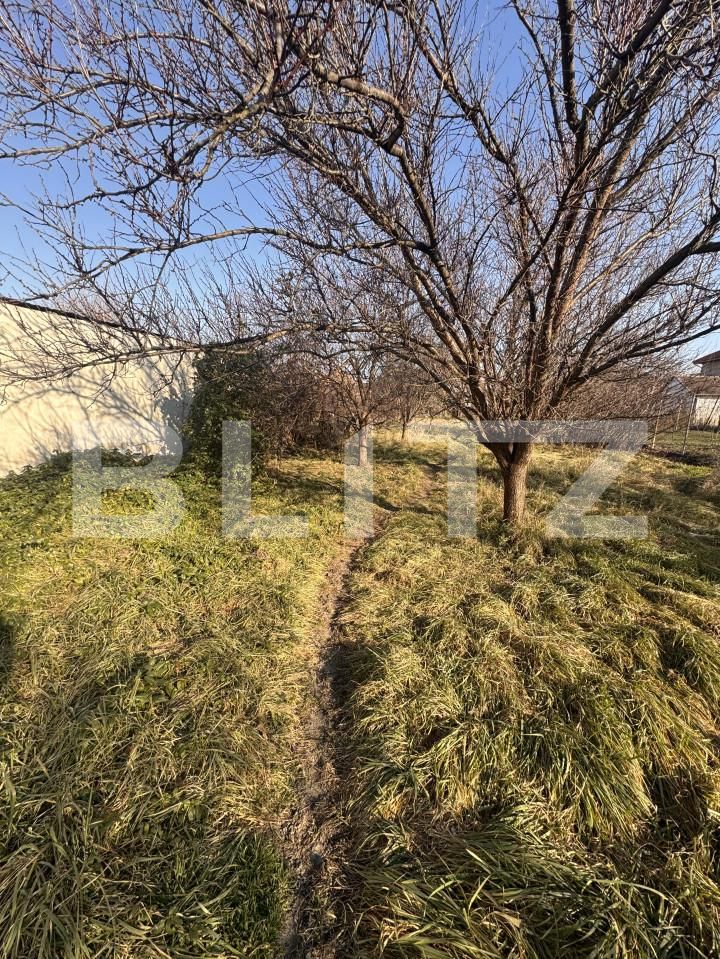 Casa de vânzare 7 camere Fratelia - 166327CV | BLITZ Timișoara | Poza10