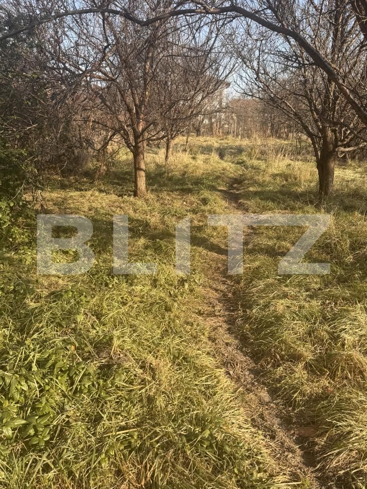 Casa de vânzare 7 camere Fratelia - 166327CV | BLITZ Timișoara | Poza8