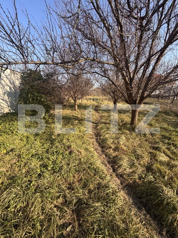 Casa de vânzare 7 camere Fratelia - 166327CV | BLITZ Timișoara | Poza7