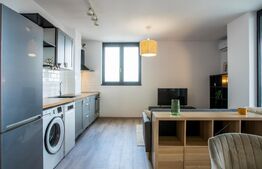 Apartament cu 2 camere, zona Take Ionescu (ISHO)