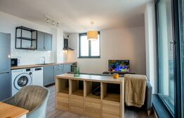 Apartament cu 2 camere, zona Take Ionescu (ISHO)