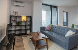 Apartament cu 2 camere, zona Take Ionescu (ISHO)