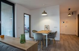 Apartament cu 2 camere, zona Take Ionescu (ISHO)