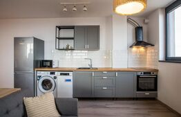 Apartament cu 2 camere, zona Take Ionescu (ISHO)