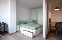 Apartament cu 2 camere, zona Take Ionescu (ISHO)