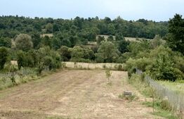 Casă de vacanță, Brestovăț