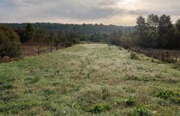 Casă de vacanță, Brestovăț