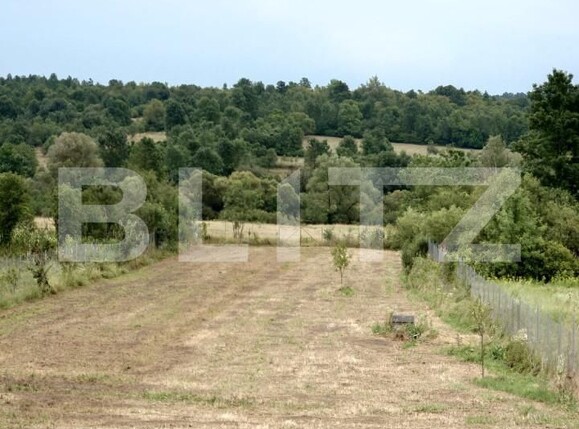 Casa de vânzare 2 camere Brestovat - 166883CV | BLITZ Timișoara | Poza15