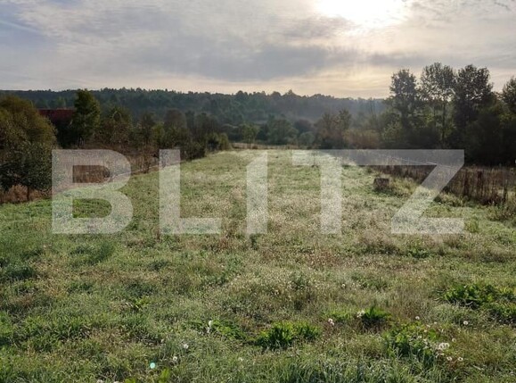 Casa de vânzare 2 camere Brestovat - 166883CV | BLITZ Timișoara | Poza2