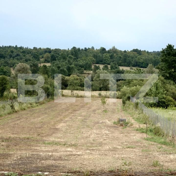 Casa de vânzare 2 camere Brestovat - 166883CV | BLITZ Timișoara | Poza15