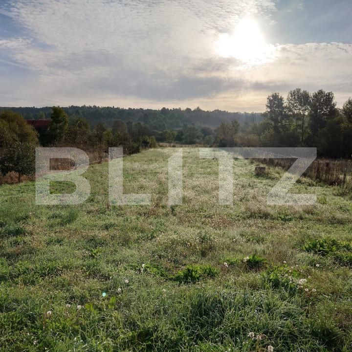 Casa de vânzare 2 camere Brestovat - 166883CV | BLITZ Timișoara | Poza2