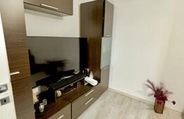Apartament superb, 2 camere decomandat, etaj 1, zona Lipovei