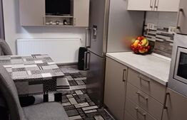 O locuință versatilă, cu două apartamente independente, Zona  Fabric