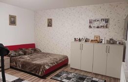 O locuință versatilă, cu două apartamente independente, Zona  Fabric