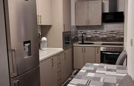 O locuință versatilă, cu două apartamente independente, Zona  Fabric