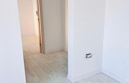 Apartament complet renovat cu 3 camere, etaj intermediar, zona Lipovei 