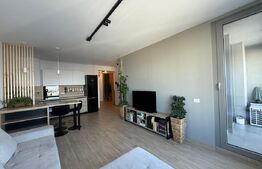 Apartament 2 camere, Take Ionescu