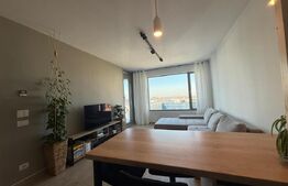 Apartament 2 camere, Take Ionescu