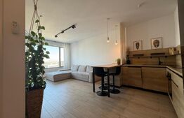 Apartament 2 camere, Take Ionescu