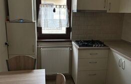 Apartament 2 camere, 56 mp, curte privata, complet utilat, zona Braytim