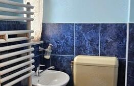 Apartament cu 4 camere - Rafinament și istorie în inima cartierului Iosefin