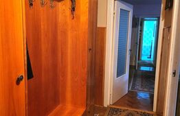 Apartament cu 2 camere, centrala proprie, zona Dambovita