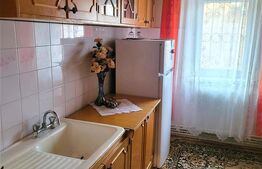 Apartament cu 2 camere, centrala proprie, zona Dambovita