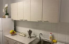 Apartament de inchiriat, cu 3 camere, 65 mp, etaj 1, zona Lipovei