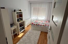 Casă individuală modernă cu piscină și grădină amenajată – Sânnicolau Mare 