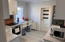 Casă individuală modernă cu piscină și grădină amenajată – Sânnicolau Mare 