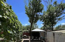 Vila individuala, 190 mp, 8 camere, garaj, curte, zona Lipovei-Timisoara