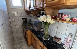 Vila individuala, 190 mp, 8 camere, garaj, curte, zona Lipovei-Timisoara