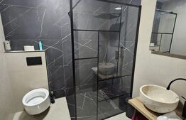 Casă duplex cu dormitor la parter și garaj, Dumbrăvița