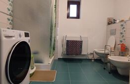 Casa individuala, gradina amenajata, terasa inchisa, carport,15 minute Timisoara