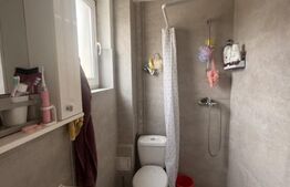 Duplex, Mosnita Noua, sat Urseni, 123 mp, 264 mp teren, mobilat-utilat