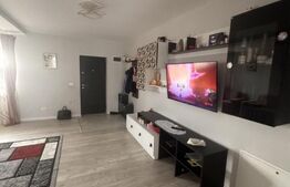 Duplex, Mosnita Noua, sat Urseni, 123 mp, 264 mp teren, mobilat-utilat